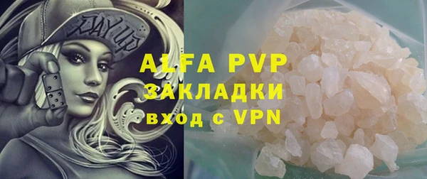 PSILOCYBIN Нязепетровск
