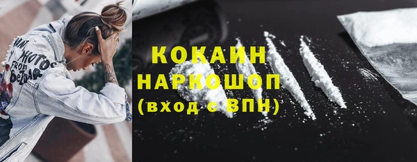 тгк Бородино
