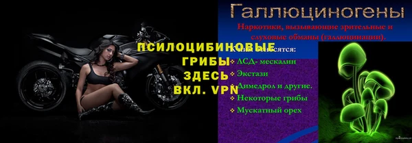 тгк Бородино