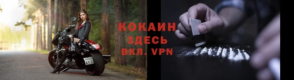 дмт Няндома