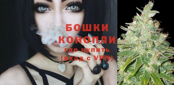 стаф Бронницы
